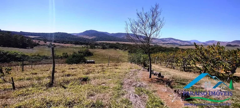Imagem Propriedade Rural de Alto Padrão: Pronta para Produção e Investimento!