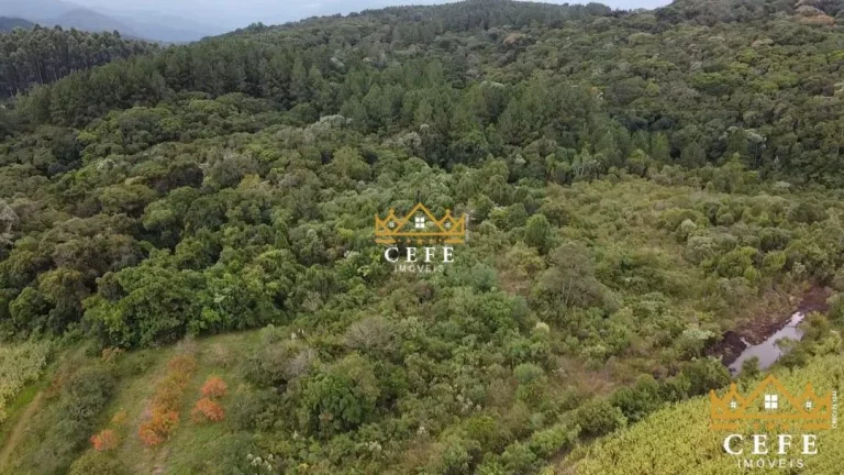 Imagem Sala Comercial à Venda, 200 m² em Serra Grande - Três Coroas