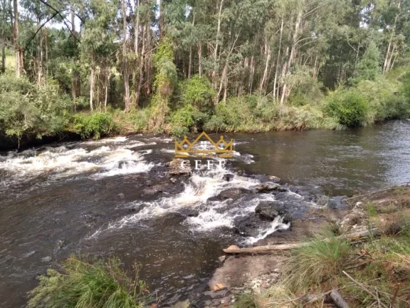 Imagem Chácara - Sítio com 2 Dormitorio(s) localizado(a) no bairro Zona Rural em São Francisco de Paula / RIO GRANDE DO SUL Ref.:1519