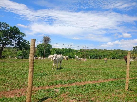 Imagem Viva o Melhor do Campo com Conforto e Estilo! Luziânia-GO.