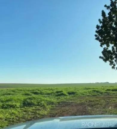 Imagem Fazenda à Venda, 2.032.800 m² em Zona Rural - Guaraci