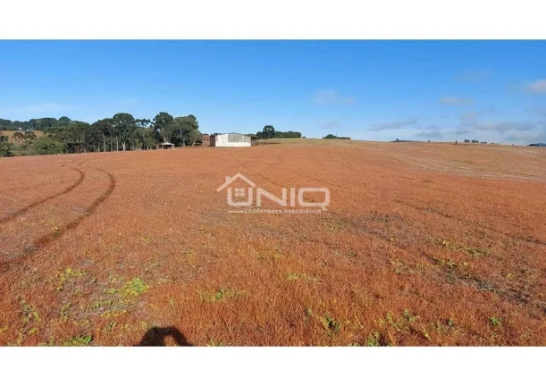 Imagem Fazenda de 47 Alqueires em Palmas - PR