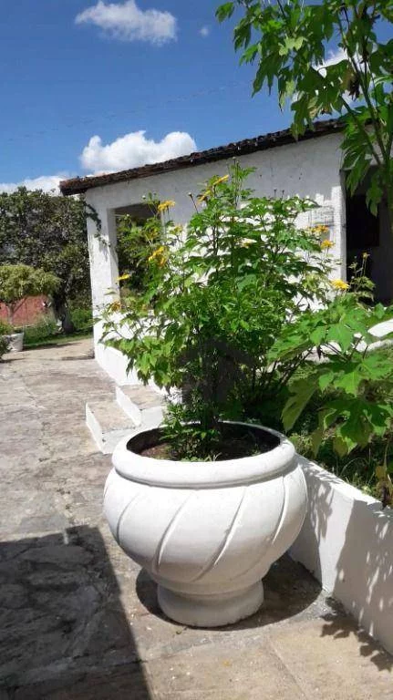 Imagem Casa com 4 Quartos à Venda, 10.000 m² em Aldeia - Paudalho