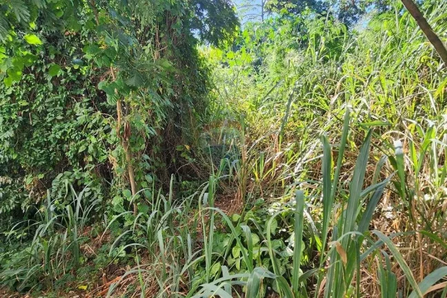 Imagem Terreno 950m, em Araçatiba, Maricá.