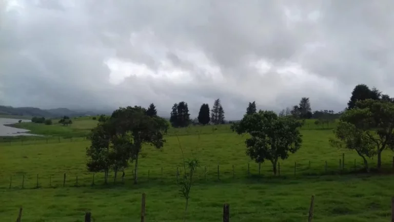 Imagem Chácara à venda, 5790 m² por R$ 1.000.000,00 - Taiacupeba - Mogi das Cruzes/SP