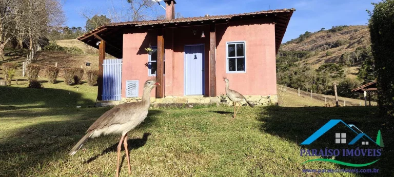 Imagem Oportunidade de Locação Anual em Gonçalves - Terra Fria
