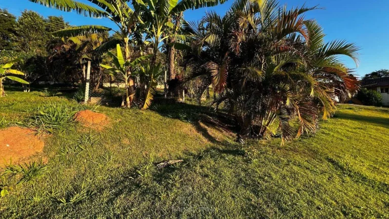 Imagem Terreno à venda no bairro Jundiaizinho (Terra Preta) - Mairiporã/SP