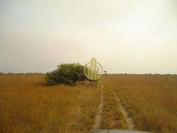 Imagem Fazenda no Pantanal