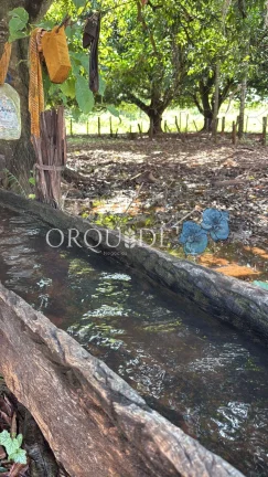 Imagem Fazenda à venda em Aparecida do Rio Doce-GO no bairro Setor Central com 10,00 alqueires de área