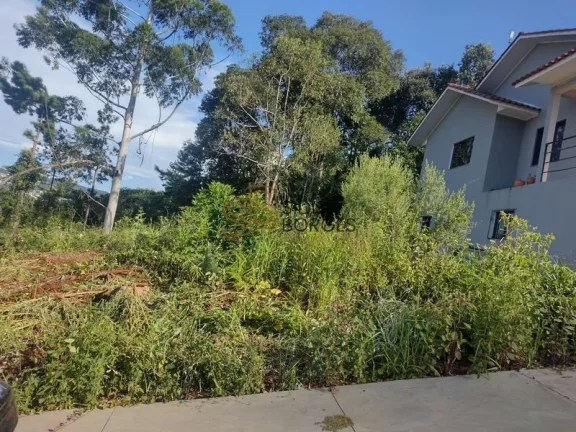 Imagem Terreno CONCÓRDIA - SC