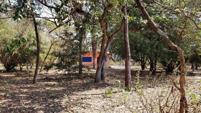 Imagem Terreno Padrão