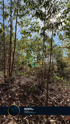 Imagem OPORTUNIDADE ÚNICA - FAZENDA Á VENDA EM PEIXOTO/LAGE (IBIRACI/MG) COM 92 ALQUEIRES