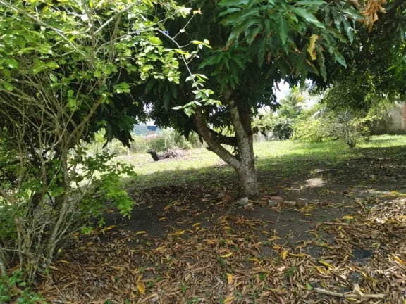 Imagem Terreno de 2.800m² à venda, localizado em Chã de Onça, Paudalho - Pernambuco.