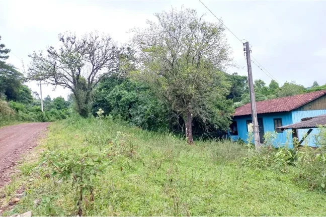 Imagem CLBG 120 Lote 612511062-6 - Fazenda à venda no bairro Riozinho - Riozinho/RS