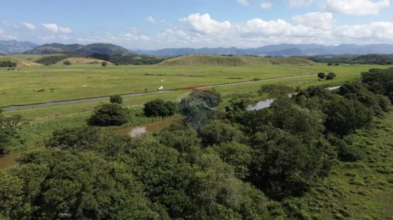 Imagem Fazenda à Venda, 1.449.875 m² em Zona Rural - Anchieta