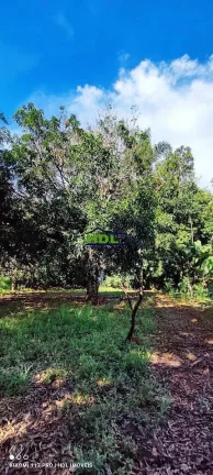 Imagem Chácara de 2 alqs com Água em Abundância e terra de Cultura