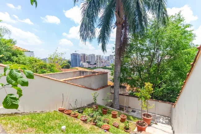 Imagem CASA RESIDENCIAL em São Paulo - SP, Vila Paulicéia