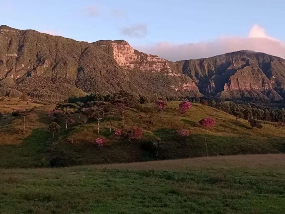 Sítio à Venda, Santa Rosa de Lima/SC