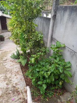 Imagem Chácara para Venda em São Bernardo do Campo / SP no bairro Capivari