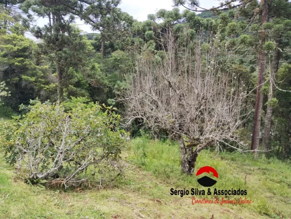 Imagem Terreno a Venda na Região da Vila Natal em Campos do Jordão -sp.