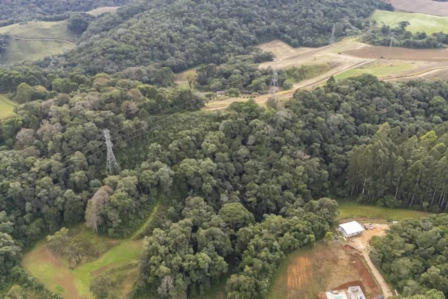 Imagem Chácara em Campo Magro com 24.200 m²