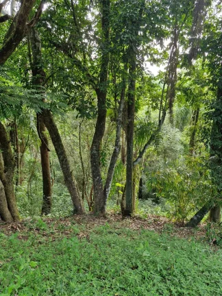 Imagem CHÁCARA LOCALIZADA NA CANANEIA - PILAR DO SUL - SP