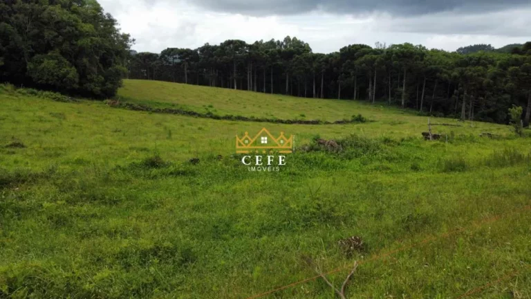 Imagem Chácara - Sítio com 3 Dormitorio(s) localizado(a) no bairro Zona Rural em Santa Maria do Herval / RIO GRANDE DO SUL Ref.:1545