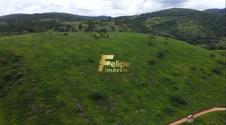 Imagem LINDA FAZENDA A 70KM DE COLATINA!