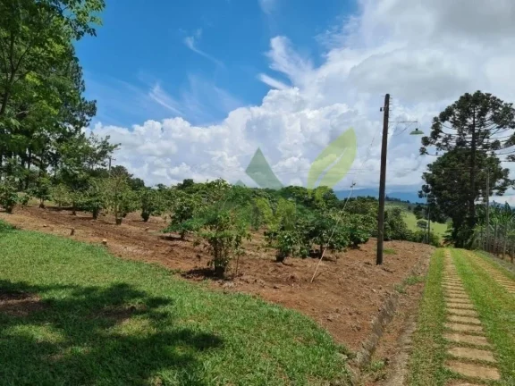 Imagem Belíssima Chácara à Venda em Piracaia 12.100m frente exclusiva par água