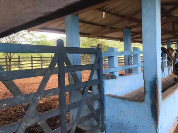 Imagem Excelente Fazenda em Belem Paraíba com 270 hectares