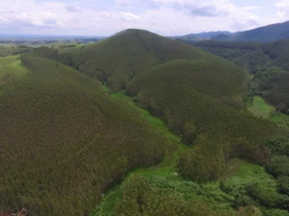 Imagem Fazenda para Venda por R$3.000.000,00 - Pinheirinho, Tremembé / SP - Cód. BDI24610
