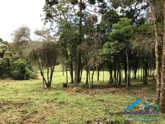 Imagem Deslumbrante Área Rural – Beleza Natural e Infraestrutura Pronta!