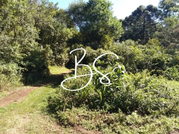 Imagem SITIO RURAL em IGREJINHA - RS, Serra Grande
