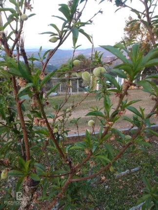 Imagem "O Paraíso em Atibaia: Sítio com 24.000m², Casa Principal, Salão de Festas, Piscina e Mais!"