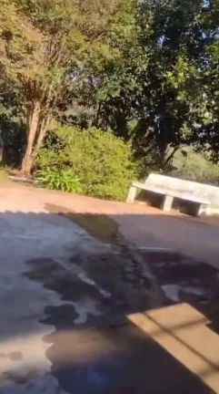 Imagem Chácara Nova Nazaré Paulista 1.500 m² 3 dor apenas 320 mil!