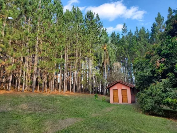 Imagem Sitio de 56.720m² 3 Dorms, 1 Suíte, Escritura, nascente, Piscina, 1 ha com Pinos 15 anos, Poço Semi-Artesiano(2.000l/h), 350 mts de testada, Alambrado, em Bragança Paulista