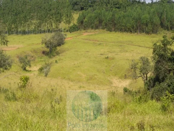 Imagem SÍTIO A VENDA 12,5 ALQUEIRES a R$ 88.000 o Alqueire, JACUÍ - SUL DE MINAS GERAIS, para gado, milho, soja.