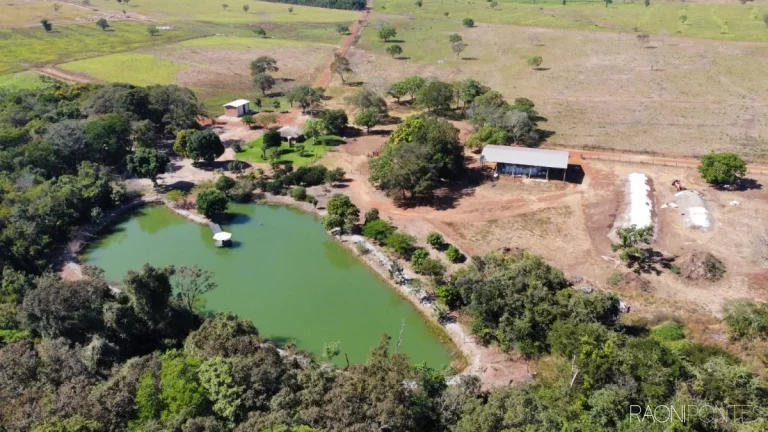 Fazenda à Venda, 6.290.000 m² em Zona Rural - Lagoa Da Confusão