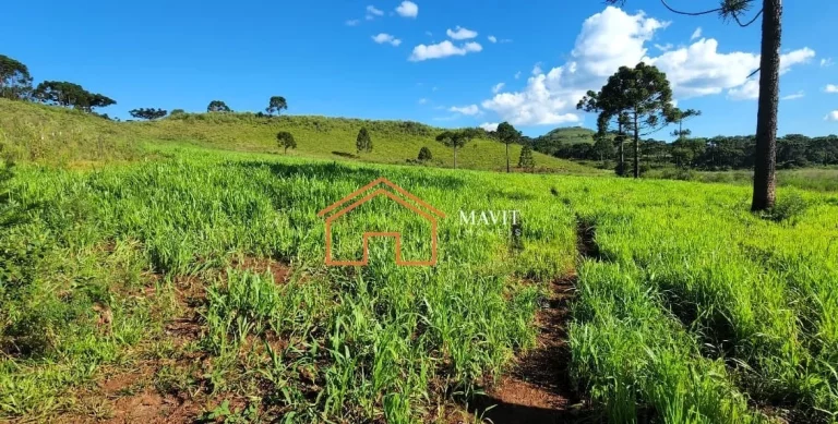 Imagem FAZENDA RURAL em CERRO NEGRO - SC, Interior