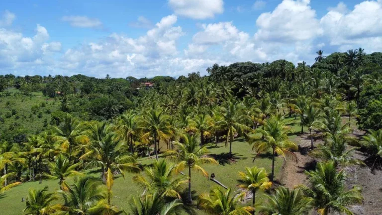 Imagem Natureza Serra Grande