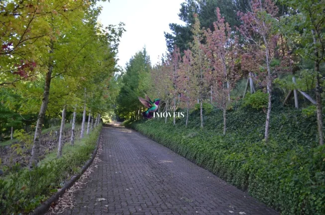 Imagem Área à venda no bairro Linha Bonita - Gramado/RS
