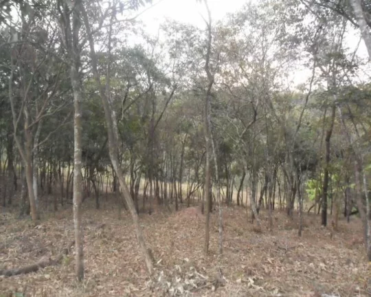 Oportunidade! área de 6.000 m² .