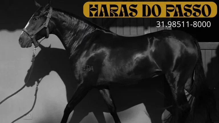 Imagem Condomínio rural com lazer completo perto de BH