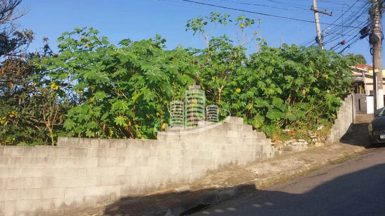 Imagem Terreno Padrão