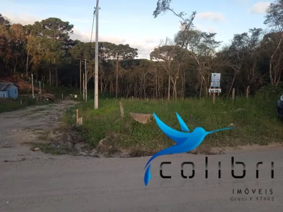 Terreno à Venda, 780 m² em Leão - Agudos Do Sul
