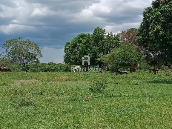 Imagem Fazenda a venda com 890 hectares Dupla aptidão na Região de Nossa senhora do Livramento Livramento MT