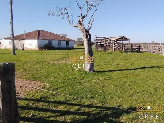 Imagem Fazenda localizado(a) no bairro Centro em Cristal / RIO GRANDE DO SUL Ref.:1263