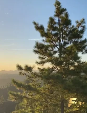 Imagem Tenha sua chácara em Pedra Azul com vista permanente para Pedra do Lagarto.
