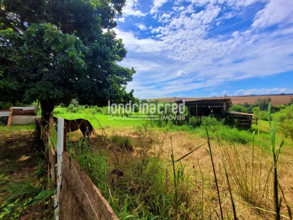 Imagem Chácara à venda 2 Quartos, 5600M², Dom Pedro I, Londrina - PR