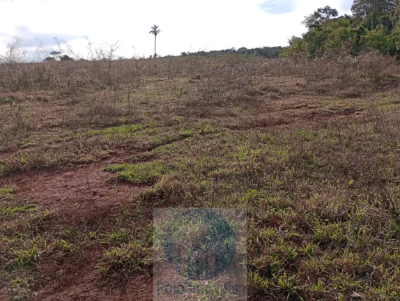 Imagem Sítio vende 10 alqueires em Altinópolis - SP, terra de cultura, vermelha e em pasto.